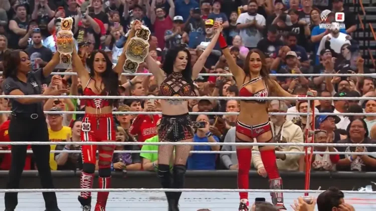 The Bella Twins & Paige Wrestlemania 42